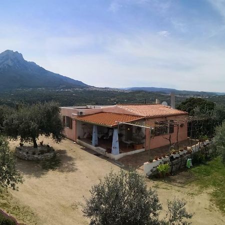 Villa L'Oleandro Oliena Exteriör bild