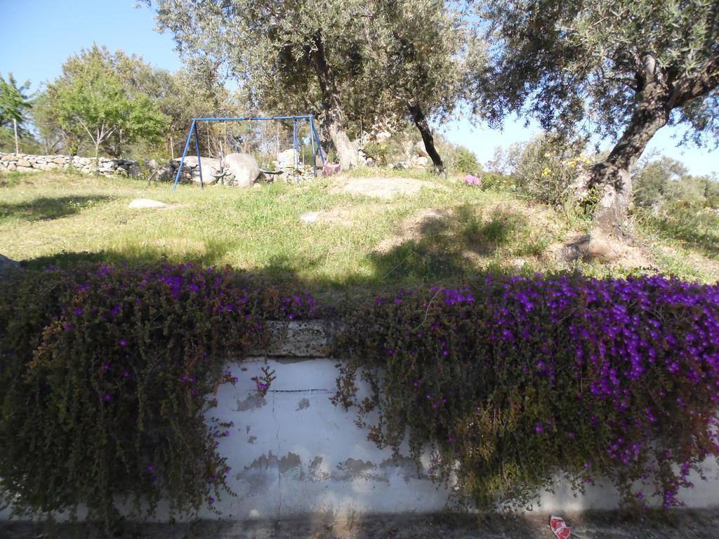Villa L'Oleandro Oliena Exteriör bild