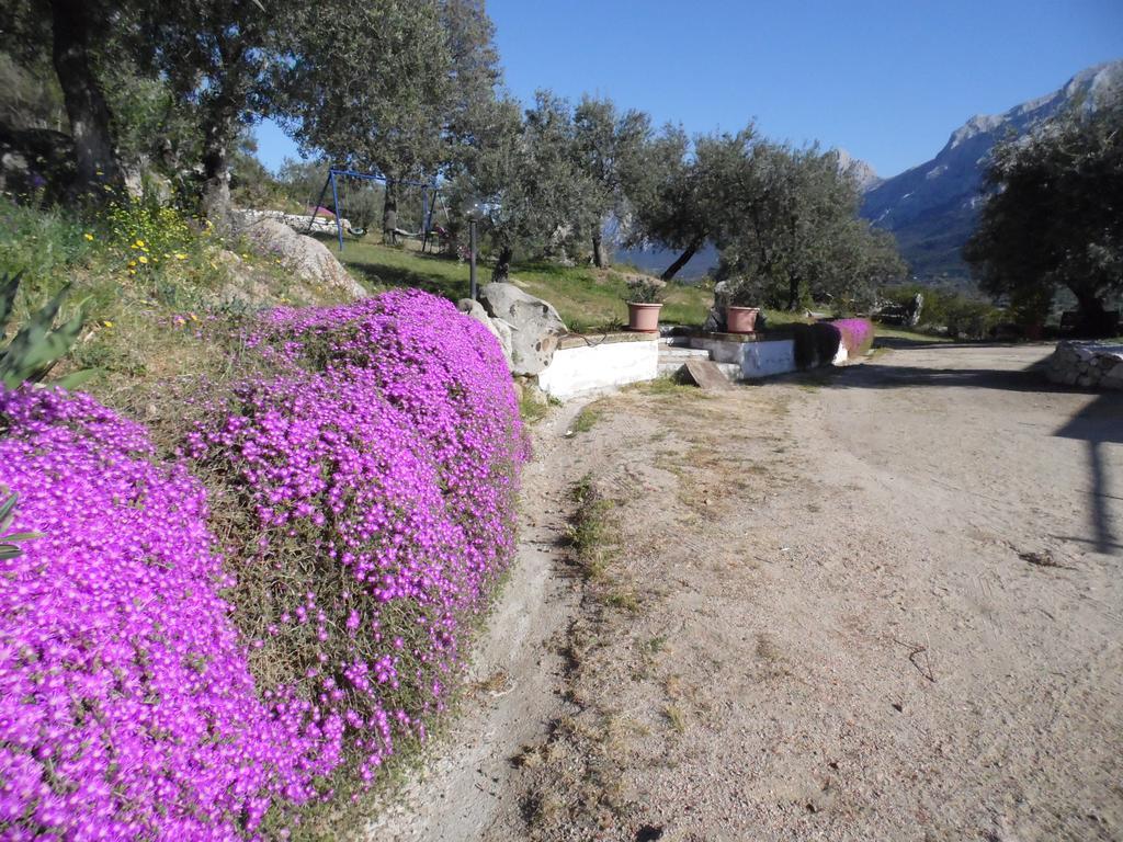 Villa L'Oleandro Oliena Exteriör bild