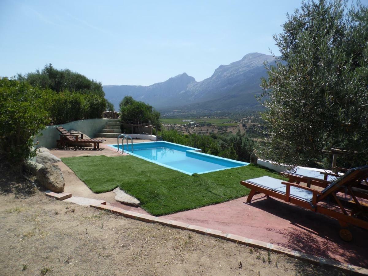 Villa L'Oleandro Oliena Exteriör bild
