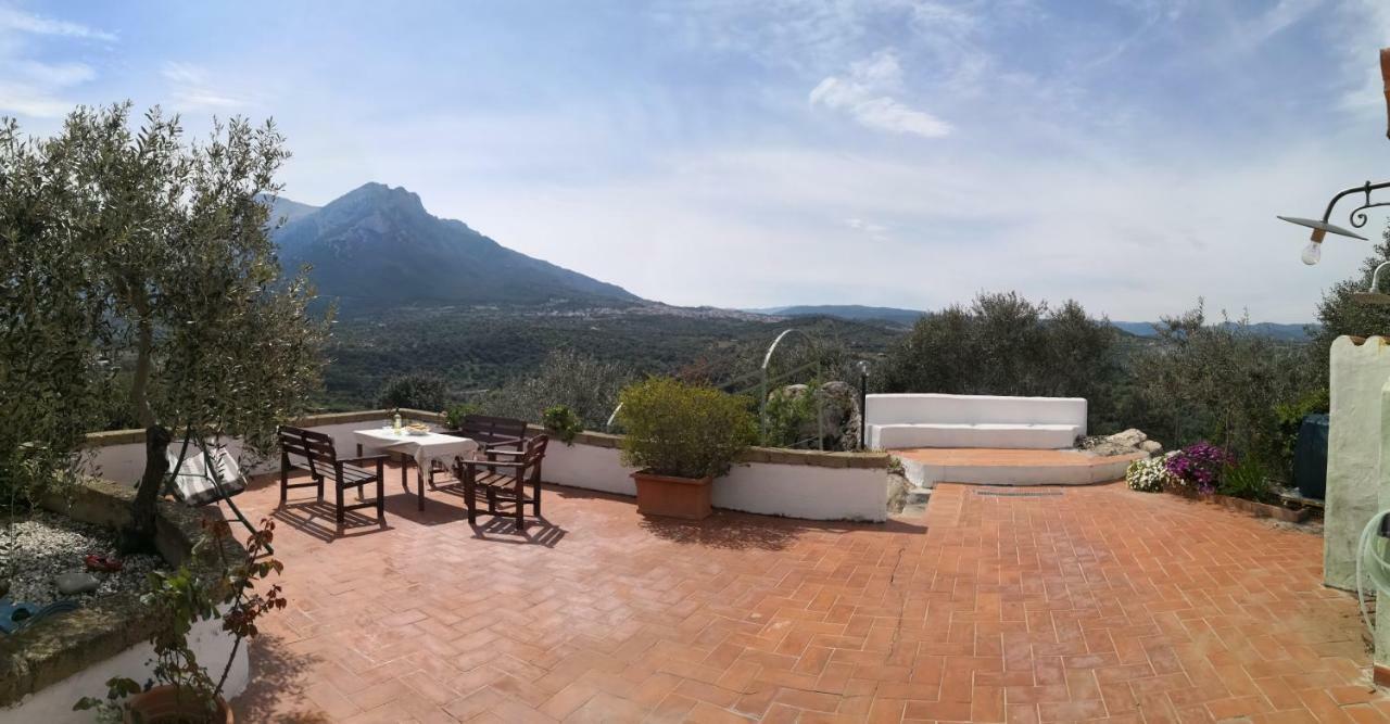 Villa L'Oleandro Oliena Exteriör bild