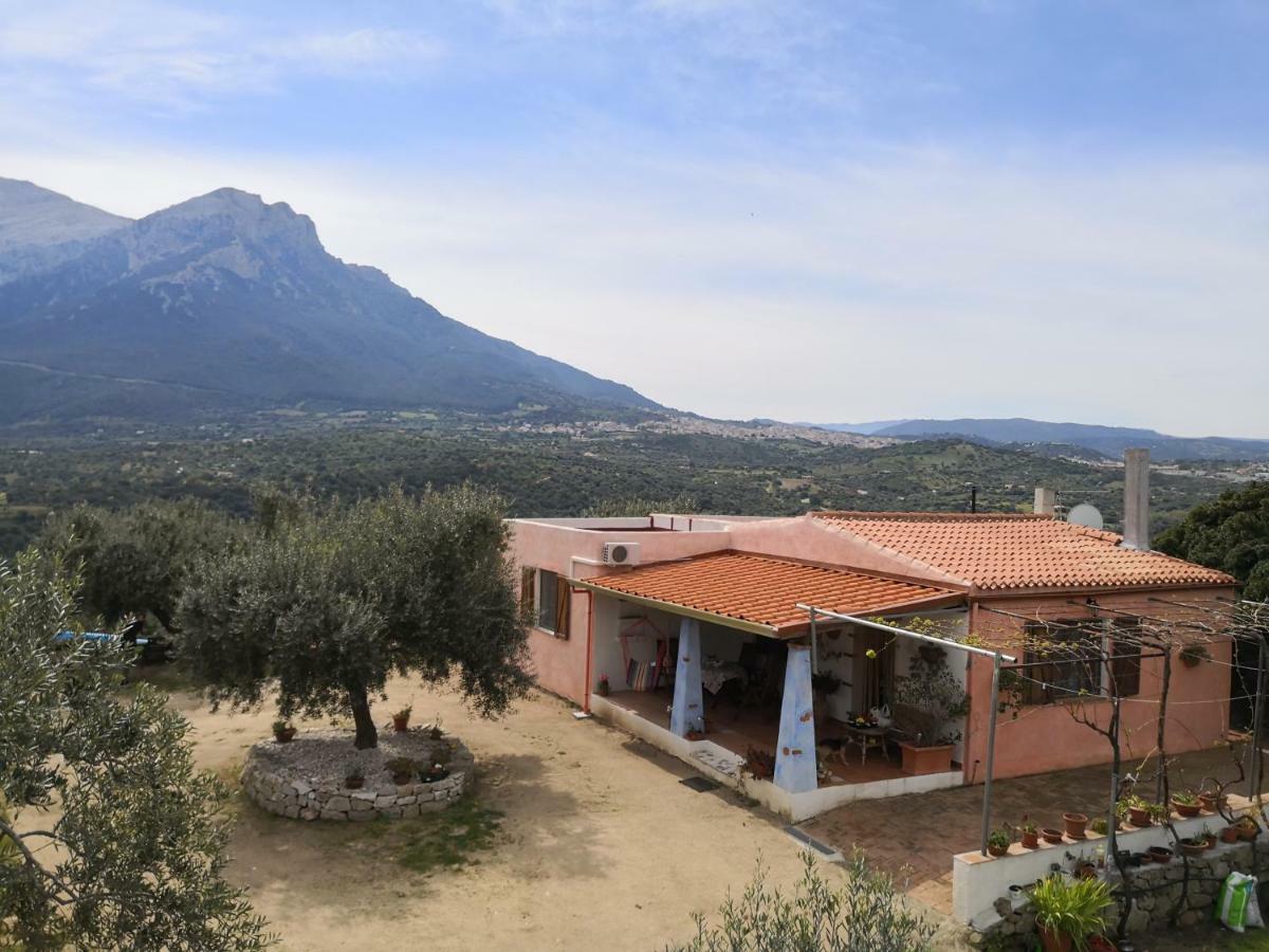 Villa L'Oleandro Oliena Exteriör bild