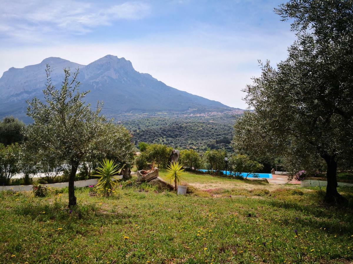 Villa L'Oleandro Oliena Exteriör bild