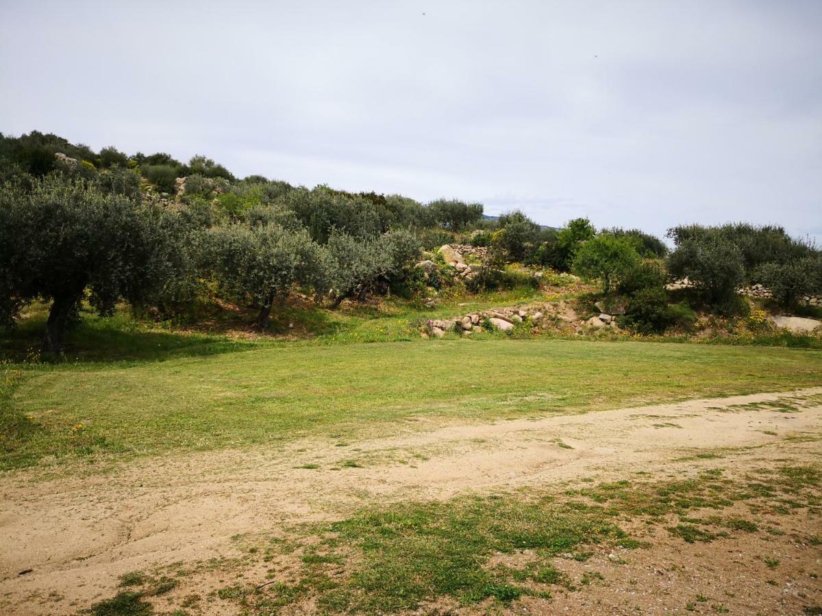 Villa L'Oleandro Oliena Exteriör bild