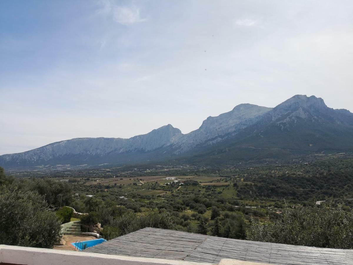 Villa L'Oleandro Oliena Exteriör bild